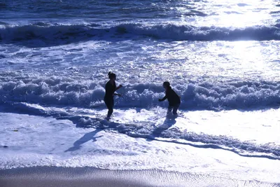 DSC_0524 (Large).JPG